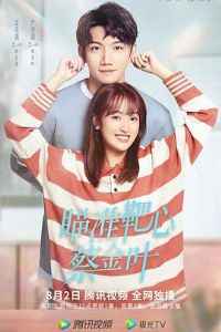 ��׼���ģ��̽�Ҷ